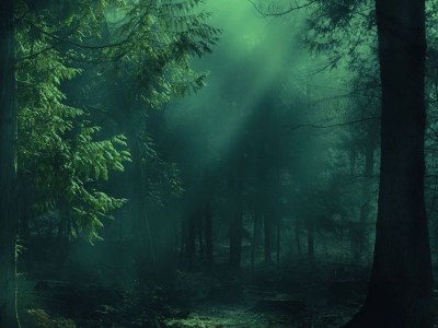 Holiday apartment Tesinserat_EN__01 - Outdoor photo 4