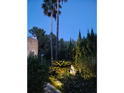 Holiday house Casa Palmera - Outdoor photo 8