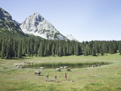 Holiday apartment 3-room apartment TIROL in the Wildsee House - Environment photo 30