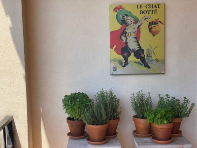 Villa Plein Sud - Les Issambres - Outdoor photo 14