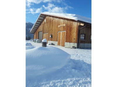 Holiday apartment Bergliebe Schranzlhof - Outdoor photo 4