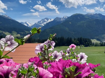 Holiday apartment Bergliebe Schranzlhof - Outdoor photo 6