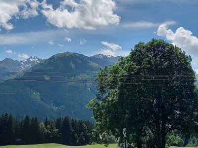 Holiday apartment Bergliebe Schranzlhof - Outdoor photo 14