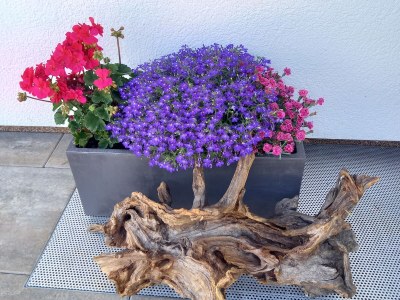 Holiday apartment Bergliebe Schranzlhof - Outdoor photo 15