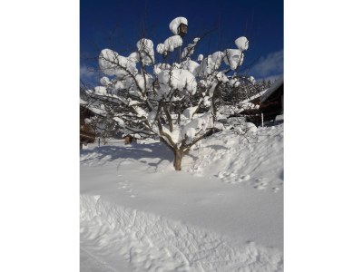 Holiday apartment Bergliebe Schranzlhof - Environment photo 28