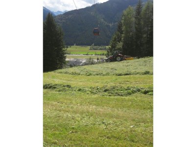 Holiday apartment Bergliebe Schranzlhof - Environment photo 29