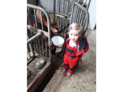 Holiday apartment Bergliebe Schranzlhof - Environment photo 30