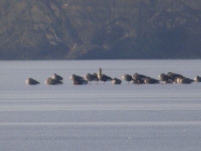 Holiday apartment "House on the Lake" - Outdoor photo 6