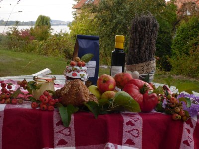 Holiday apartment "House on the Lake" - Outdoor photo 12