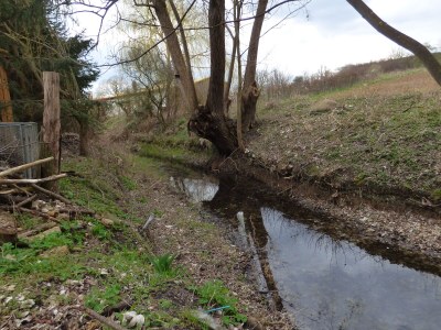 Holiday apartment "House on the Lake" - Outdoor photo 13