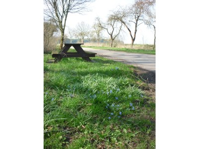 Holiday apartment "House on the Lake" - Environment photo 29