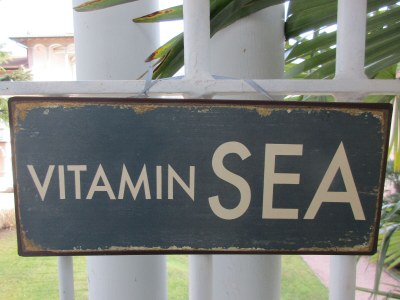 Holiday apartment Il nido del lago - Features photo 20