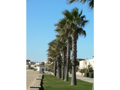 Holiday house Heinrichs-Schropp - Environment photo 15