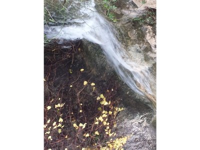 Holiday house Heinrichs-Schropp - Environment photo 18