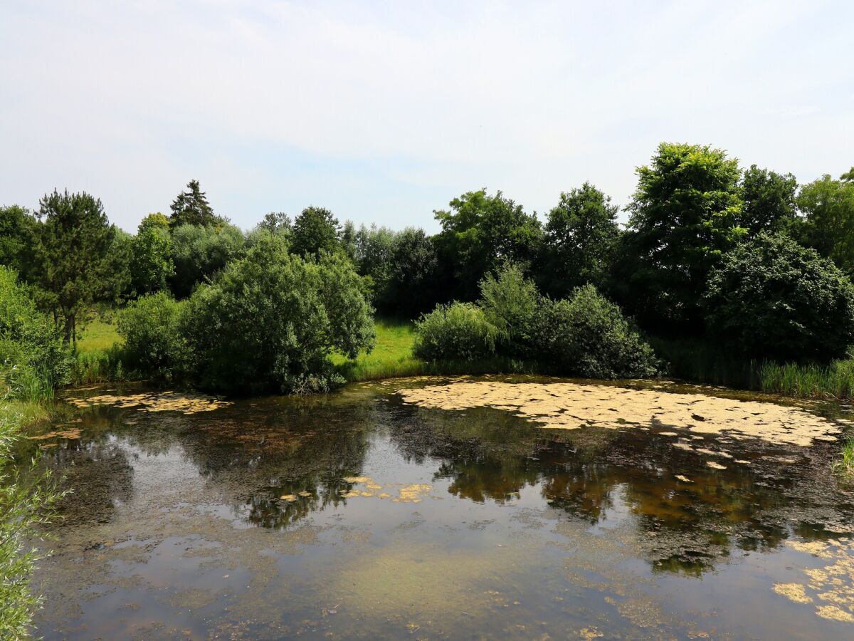 Apartment Besondere Ferienwohnung Bibliothek in Buschhagen - Outdoor photo 3