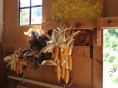 Apartment Besondere Ferienwohnung Bibliothek in Buschhagen - Outdoor photo 39