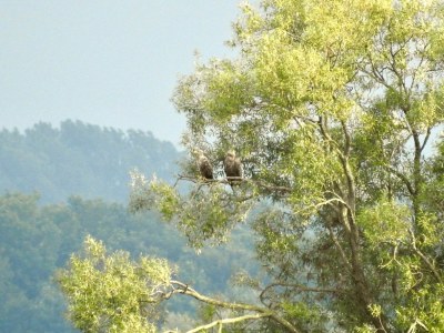 Holiday apartment von Velasco ground floor - Environment photo 9