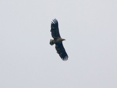 Holiday apartment von Velasco ground floor - Environment photo 10