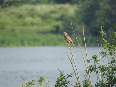 Holiday apartment von Velasco ground floor - Environment photo 11