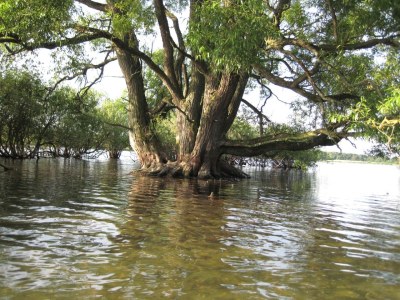 Holiday apartment von Velasco ground floor - Environment photo 14