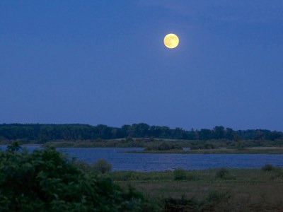 Holiday apartment von Velasco ground floor - Environment photo 18