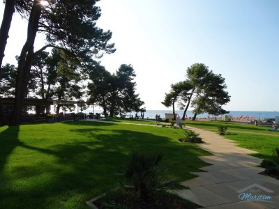 Holiday apartment Belvedere - Environment photo 36