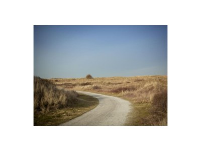 Holiday apartment Weidevilla 14 - Environment photo 8