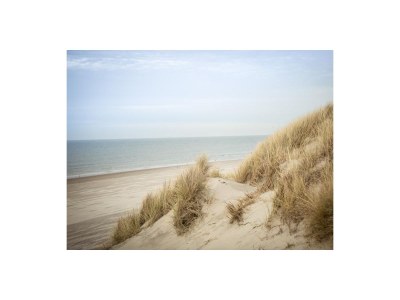 Holiday apartment Weidevilla 14 - Environment photo 9