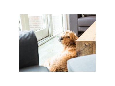 Holiday apartment Weidevilla 14 - Outdoor photo 12