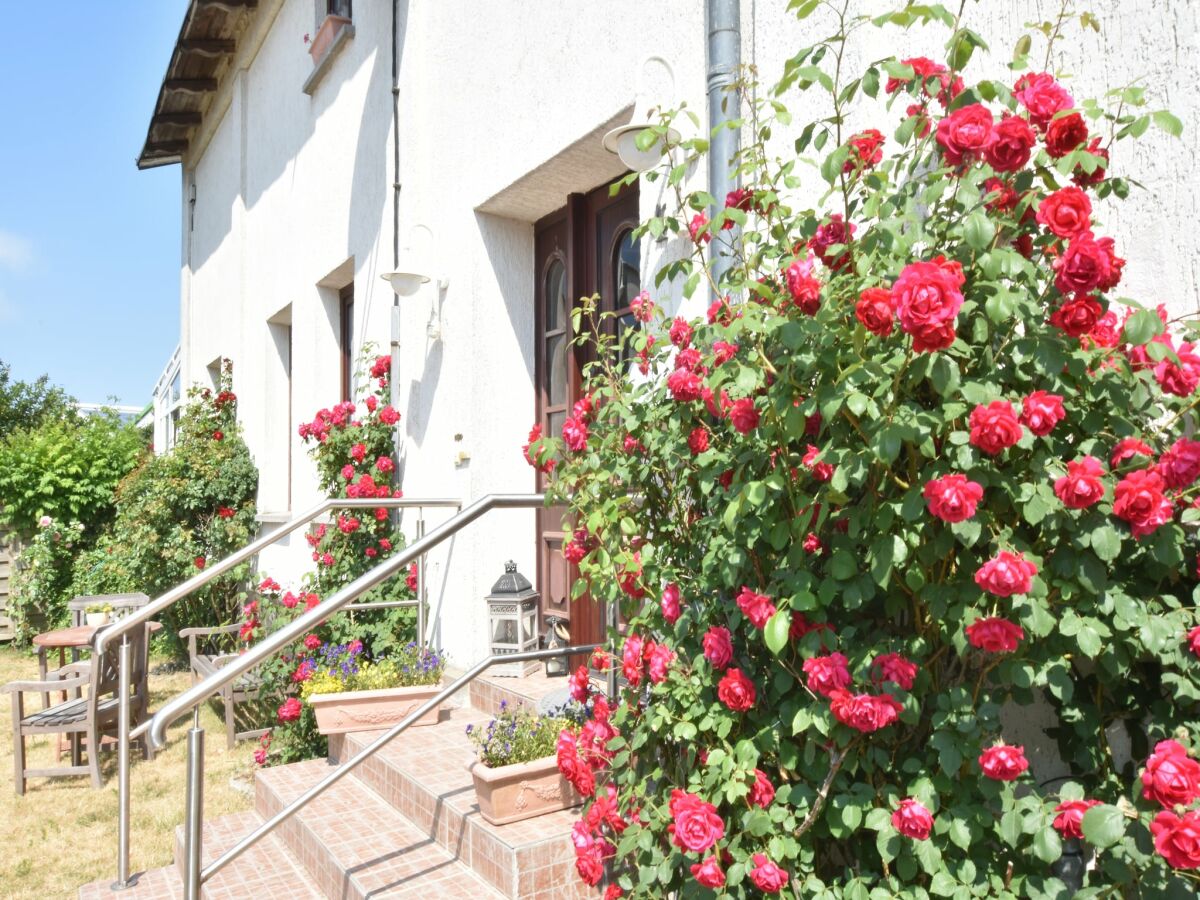 Apartment Gemütlicher Komfort in der Nähe der Ostsee - Outdoor photo 4