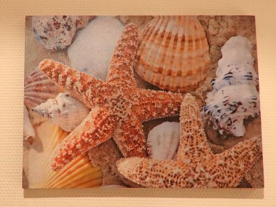 Apartment Gemütlicher Komfort in der Nähe der Ostsee - Outdoor photo 39