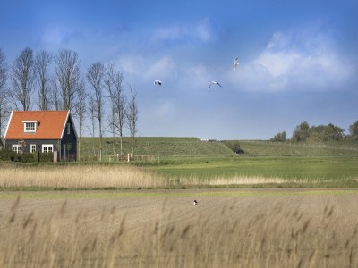 Holiday house Ferienhaus in Wissenkerke am Strand - Outdoor photo 10