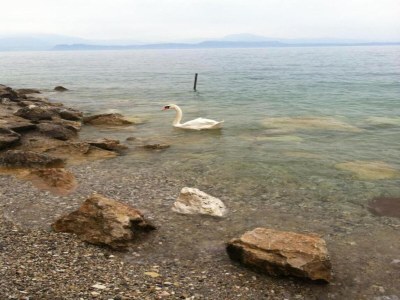 Apartment Apartment near Lake Garda with Pool - Environment photo 28