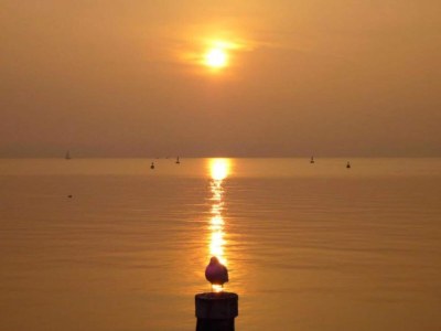 Apartment Apartment near Lake Garda with Pool - Environment photo 39