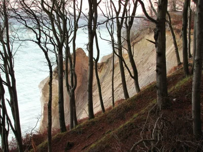 Holiday apartment Nr. 08 "Villa Laetitia" in Binz - Environment photo 23