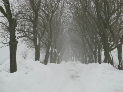 Holiday apartment Nr. 08 "Villa Laetitia" in Binz - Environment photo 24