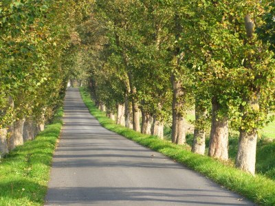 Holiday apartment Nr. 08 "Villa Laetitia" in Binz - Environment photo 27