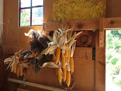 Apartment Buschenhagen Rustic Getaway - Outdoor photo 36