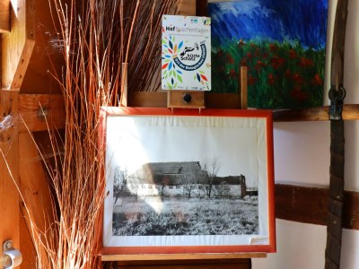 Apartment Buschenhagen Rustic Getaway - Outdoor photo 39