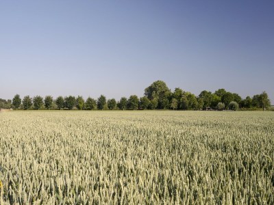 Apartment Tranquil Stay in Limburg - Environment photo 24