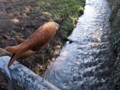 Apartment Tranquil Stay in Limburg - Outdoor photo 34