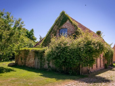 Holiday house Ferien Gut Welzin - Outdoor photo 5