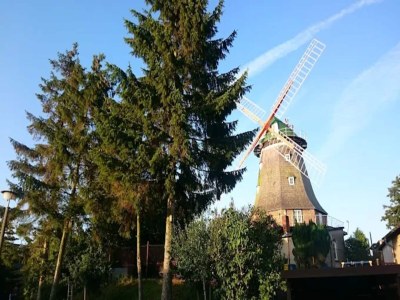 Apartment Cozy Retreat in Kröpelin - Environment photo 27