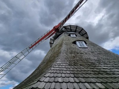 Apartment Cozy Retreat in Kröpelin - Environment photo 29