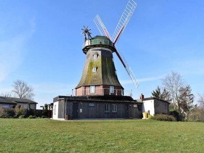Apartment Cozy Retreat in Kröpelin - Environment photo 33