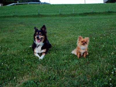 Holiday apartment in Haus Gatterland - Environment photo 29