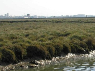 Villa Villa in Benitachell with Pool near Cumbre Beach - Environment photo 34
