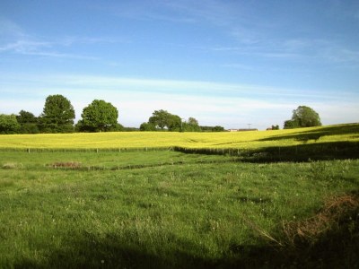 Holiday apartment of Velasco Studio - Environment photo 13