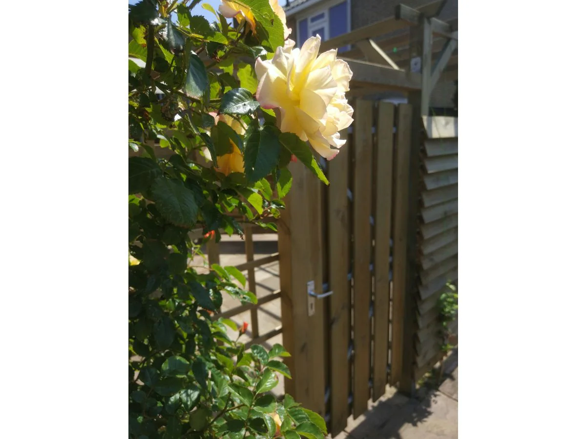 Holiday apartment Strand &Well - Outdoor photo 2