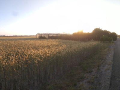 Holiday apartment Strand &Well - Environment photo 12